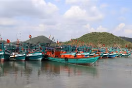 Ba Ria-Vung Tau levies heavy fines on vessels violating IUU fishing regulations