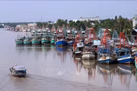 Kien Giang acts to combat IUU fishing