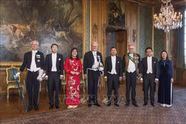 Plenty of room for Vietnam, Sweden to promote ties: Ambassador