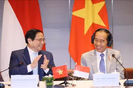 Vietnam, Indonesia eye stronger economic, trade ties