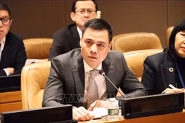 Vietnam calls peace, stability prerequisite for solutions to global challenges