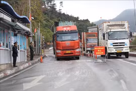 Lang Son ensures smooth trade activities at border gates during Tet