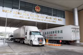 State budget revenue from imports, exports up 13.2% in January