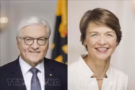 German President’s Vietnam visit an impetus for bilateral ties: Ambassador