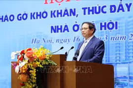 Prime Minister urges quick, effective development of social housing