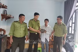Wild pangolin handed over to forest rangers