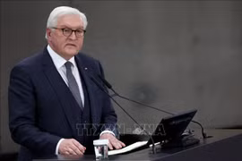 German Bundestag member highlights Germany-Vietnam ties