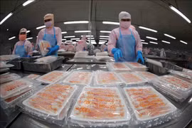 Aquatic product exports likely to hit 9.5 billion USD this year: VASEP 