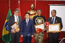 Vietnam one of most important partners of Brazil: Brazilian official 
