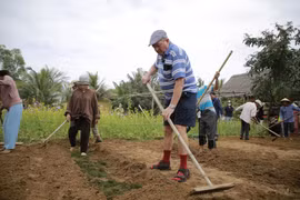 Tra Que village's Cau Bong festival draws foreign visitors in New Year