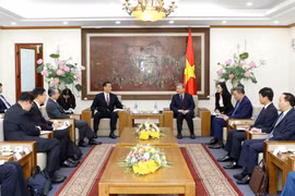 Vietnamese, Chinese public security ministries strengthen cooperation