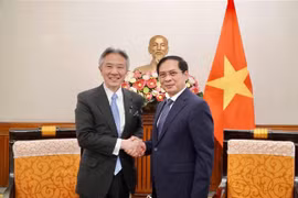 Vietnam, Japan look to step up culture, education, science, technology cooperation