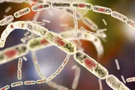 Laos reports three cases of anthrax