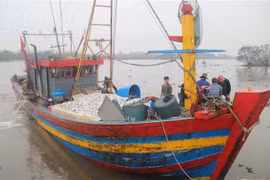 Thai Binh determined to remove IUU "yellow card"