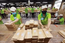Vietnam - Sweden trade growing steadily: Official