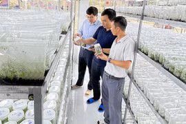 Businesses speed up green, digital transformation for breakthrough