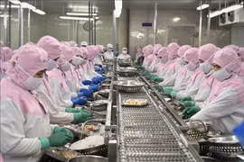Shrimp exports to major markets bounce back