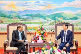 Singaporean firms eye stronger cooperation with Vinh Phuc province: ambassador