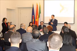 Vietnamese Embassy to Italy works to boost locality-to-locality cooperation