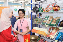 Vietnamese firms updated on Algerian market