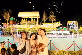 HCM City floating flower fair to celebrate Tet