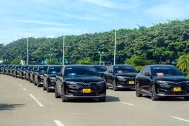 Vietnam, Indonesia eye cooperation in EV development, food security, manpower