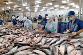 China, US, Japan – largest importers of Vietnam’s fishery products in Q1
