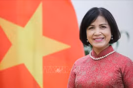 PM to highlight Vietnam’s ideas, commitments in sustainable development at WEF-54: Ambassador