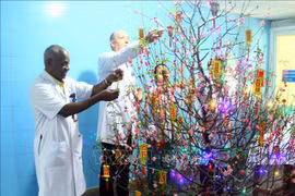 Foreign medical experts, students share joy of Tet in Vietnam