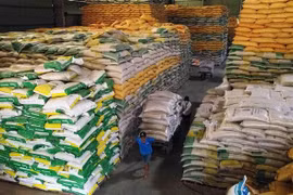 Rice export soars to record high in 2023