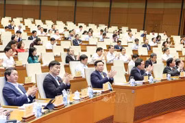 NA Standing Committee gears up for busy year with review conference