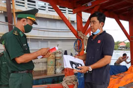 Kien Giang works hard on supervising origin tracing of fish catches