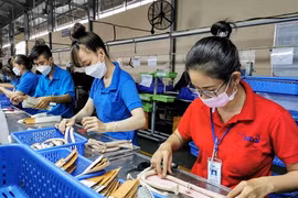 Administrative reforms key to fostering businesses