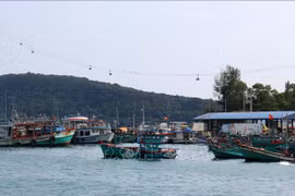 Kien Giang takes action in IUU fishing combat
