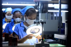 Vietnam-Argentina trade-investment ties key to recovery, development: official