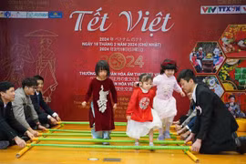 Tet celebration held for Vietnamese in Japan