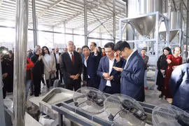 First Vietnamese factory inaugurated in Egypt