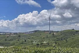 Fast-moving consumer goods producers help promote circular economy 