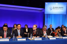 Vietnam ready to build green transformation cooperation model with EU