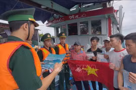Quang Ngai cracks down on IUU fishing