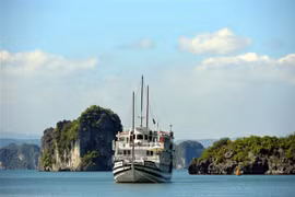 World yacht race to arrive in Quang Ninh province