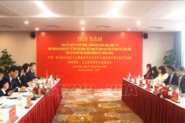 Vietnamese, Chinese localities intensify border health cooperation