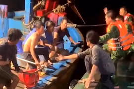 Ba Ria - Vung Tau authorities hand over 11 saved foreign sailors to consulates general