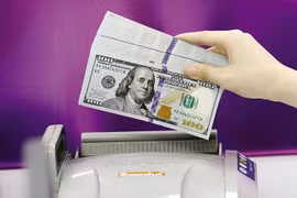 Overseas remittances to HCM City hit 10-year high