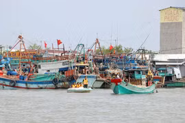 Government’s action programme cracks down on illegal fishing
