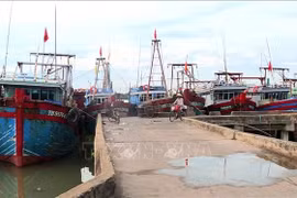 Thanh Hoa cracks down on illegal fishing vessels to curb IUU fishing