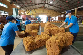Vietnam earns 160 million USD from rubber exports in Feb