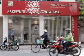 No interest rate hike in 2024: central bank