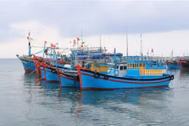 Binh Thuan province resolved to fight IUU fishing