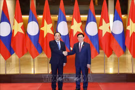 Vietnam always gives top priority to special ties with Laos: NA leader
